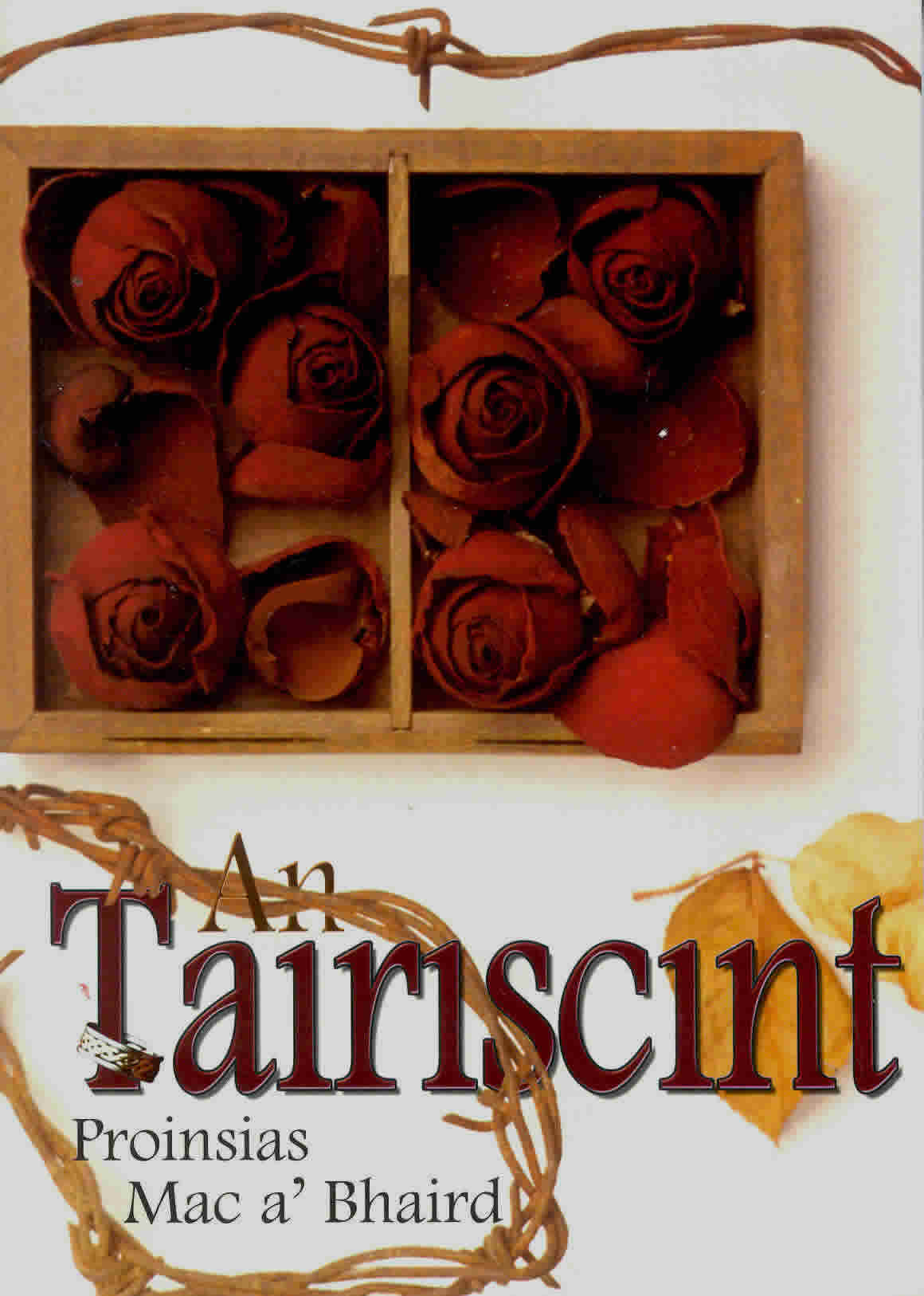 Fiction Novel  Coisceim 2006